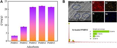 Strontium Ion Removal From Artificial Seawater Using a Combination of Adsorption With Biochar and Precipitation by Blowing CO2 Nanobubble With Neutralization